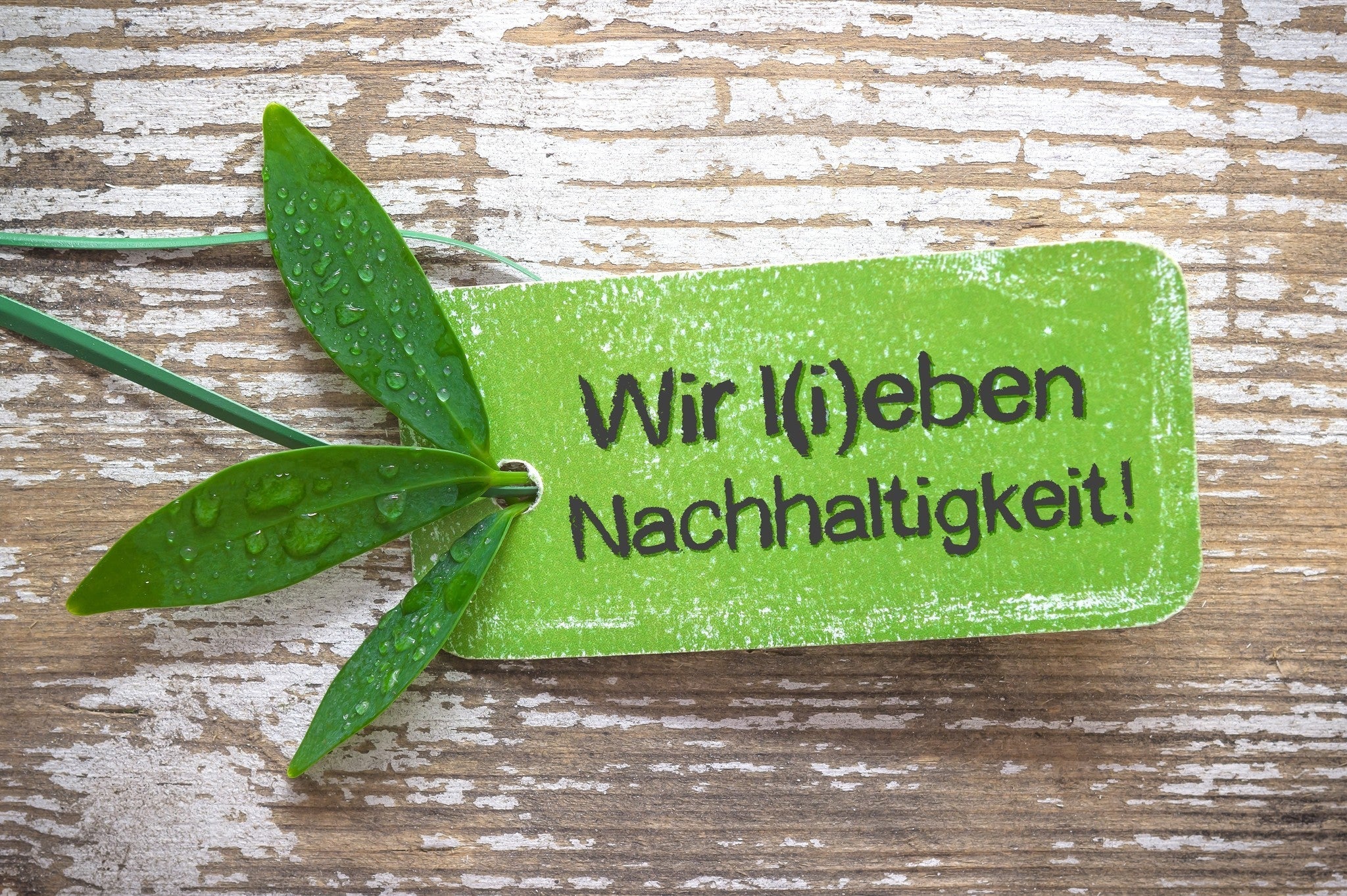Nachhaltigkeit - Flexgreen GmbH