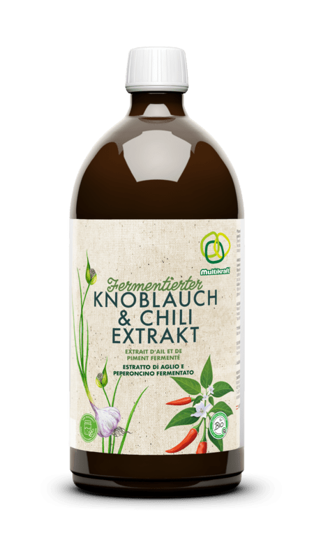 Fermentierter Knoblauch - und Chiliextrakt - Haushaltsreinigung.at