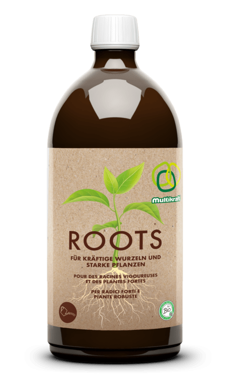 Roots - Haushaltsreinigung.at
