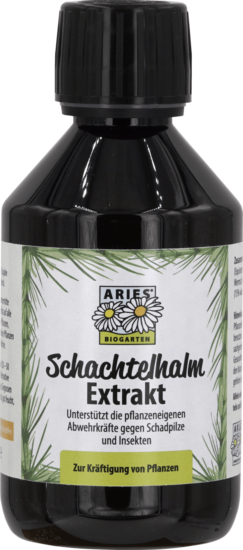 Schachtelhalm Extrakt - Haushaltsreinigung.at