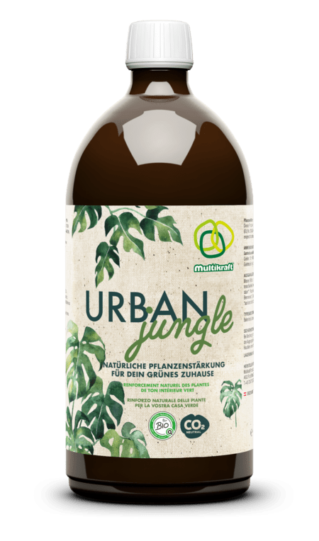 Urban Jungle - Haushaltsreinigung.at