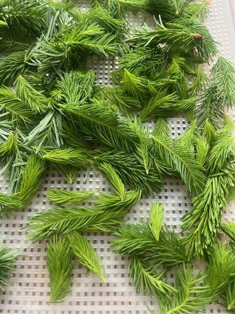 Maiwipferl – der Wald heilt mit - Flexgreen GmbH