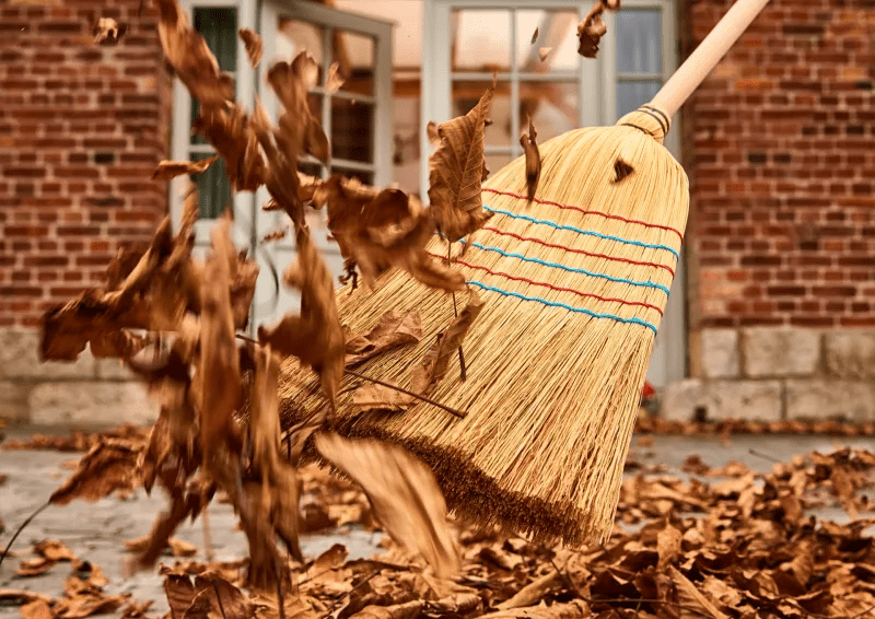 Reisstrohbesen, 150 cm - Flexgreen GmbH