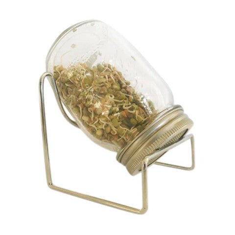 Sprossenglas, Keimgerät - Flexgreen GmbH